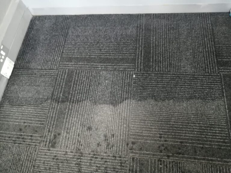 1.carpet-2